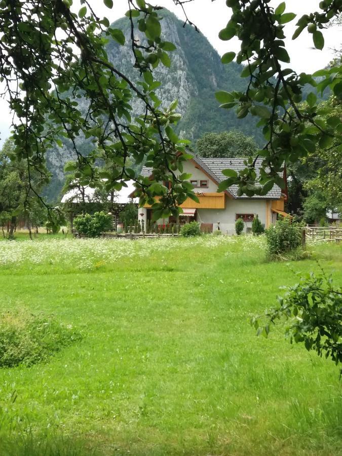 Apartma Bremec-Studio Bohinj Dış mekan fotoğraf