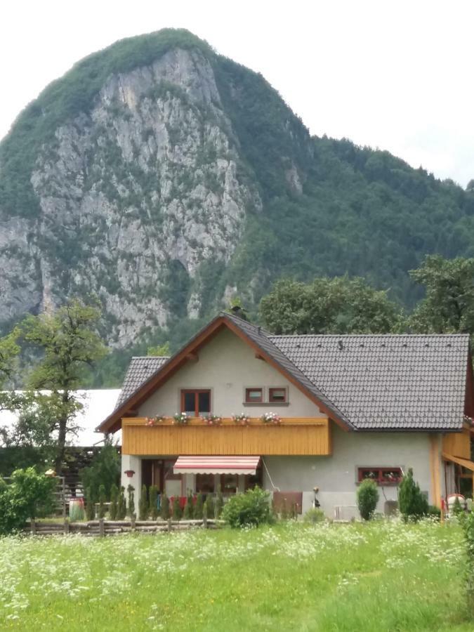 Apartma Bremec-Studio Bohinj Dış mekan fotoğraf