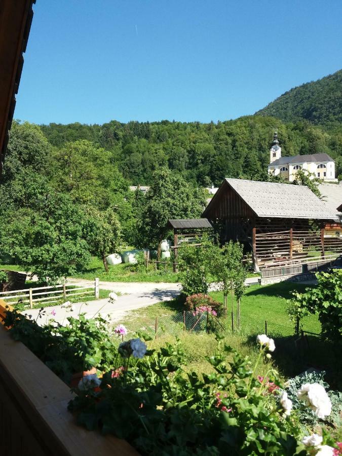 Apartma Bremec-Studio Bohinj Dış mekan fotoğraf