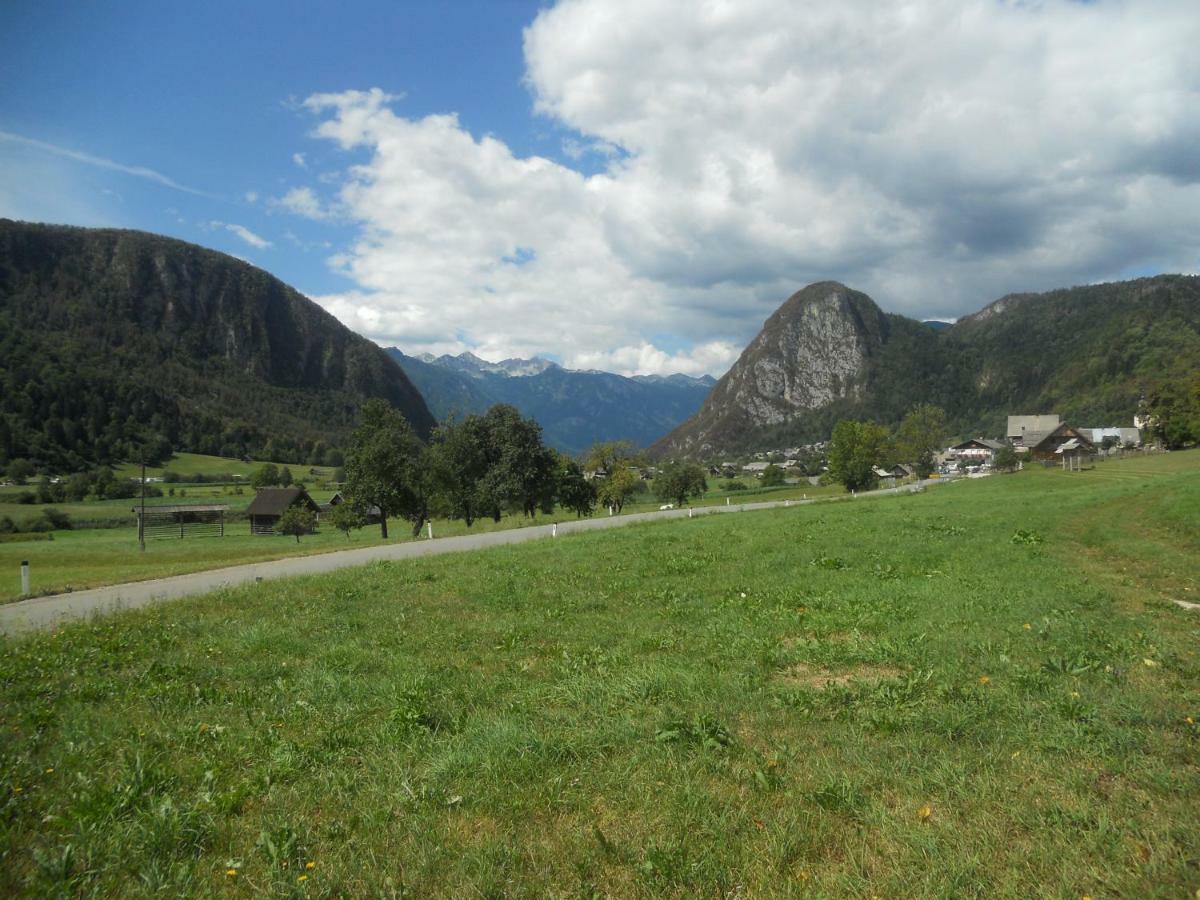 Apartma Bremec-Studio Bohinj Dış mekan fotoğraf