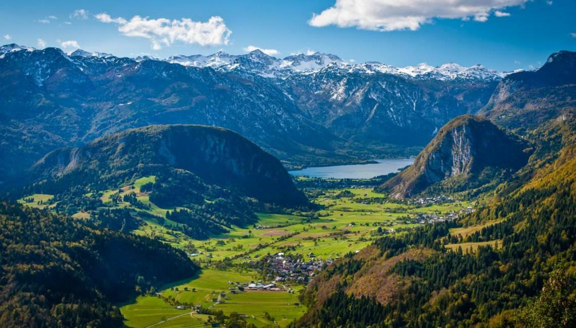 Apartma Bremec-Studio Bohinj Dış mekan fotoğraf